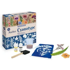 Boutiques de musées Coffret Atelier Cyanotype Herbier Online