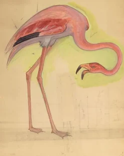 Toiles Sur Châssis|Affiches D'Art<Boutiques de musées Comptoir d'Escompte : escalier d'honneur : flamant rose (toiles sur châssis)