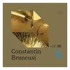 Livres Jeunesse<Boutiques de musées Constantin Brancusi - La Muse endormie
