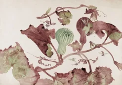 Boutiques de musées Courge et guêpes (toiles sur châssis) Online