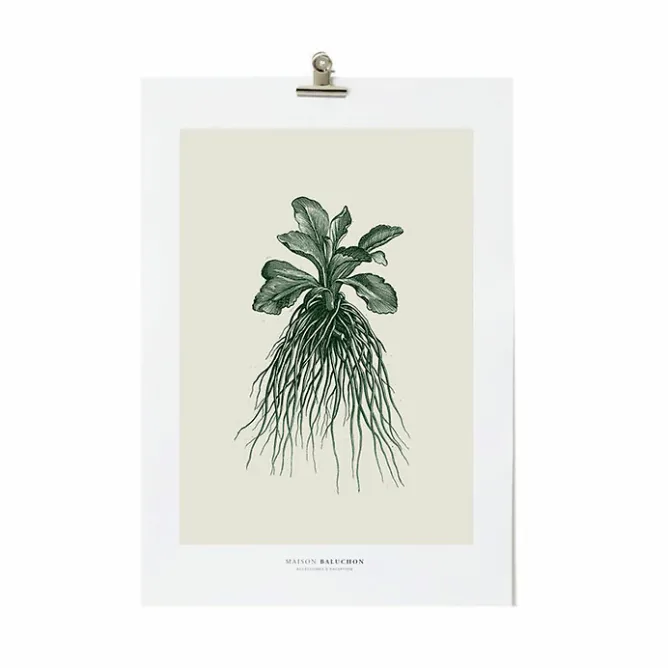 Affiches Et Reproductions<Boutiques de musées Décoration murale Herbier du roi A3 - Verte - Maison Baluchon