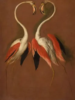 Boutiques de musées Deux flamants face à face (affiches d'art encadrées) Sale