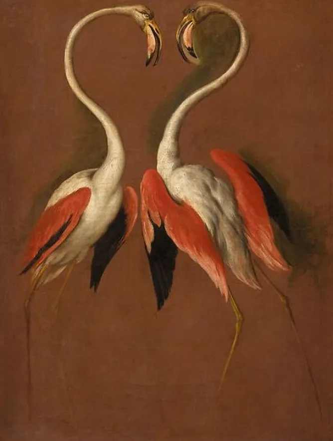 Boutiques de musées Deux flamants face à face (affiches d'art encadrées) Sale