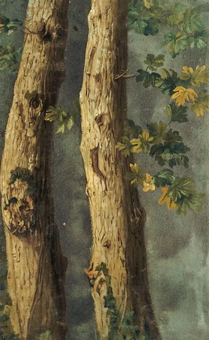 Boutiques de musées Deux troncs d'arbres avec feuillages et branche de lierre (toiles encadrées) New