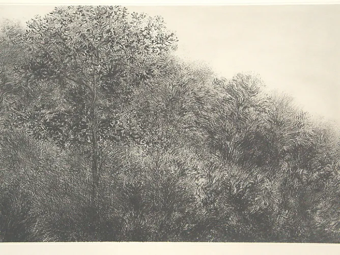 Créations Contemporaines<Boutiques de musées Estampe Allant vers les roches noires - Bertrand Henry 2001