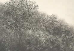 Créations Contemporaines<Boutiques de musées Estampe Allant vers les roches noires - Bertrand Henry 2001