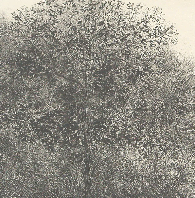 Créations Contemporaines<Boutiques de musées Estampe Allant vers les roches noires - Bertrand Henry 2001