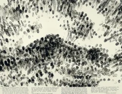Créations Contemporaines<Boutiques de musées Estampe Blind Time VI, (Temps aveugle VI) - Robert Morris