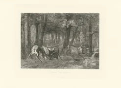 Boutiques de musées Estampe Combat de cerfs - Gustave Courbet Clearance