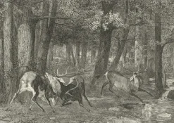 Boutiques de musées Estampe Combat de cerfs - Gustave Courbet Clearance
