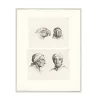 Dessins<Boutiques de musées Estampe Deux têtes de perroquets et deux têtes d'hommes