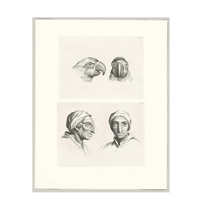 Dessins<Boutiques de musées Estampe Deux têtes de perroquets et deux têtes d'hommes