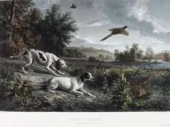 Boutiques de musées Estampe Diane et Blonde, chiennes de Louis XIV, chassant le faisan - François Desportes Discount