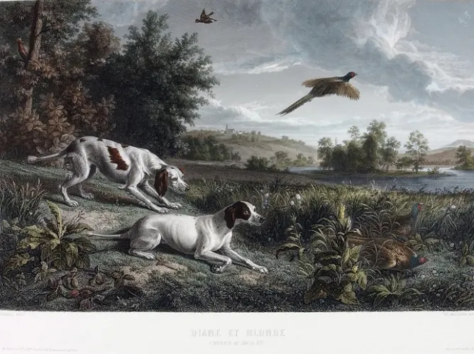 Boutiques de musées Estampe Diane et Blonde, chiennes de Louis XIV, chassant le faisan - François Desportes Discount