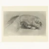 Dessins<Boutiques de musées Estampe Etude de main - Alphonse Alexandre Leroy