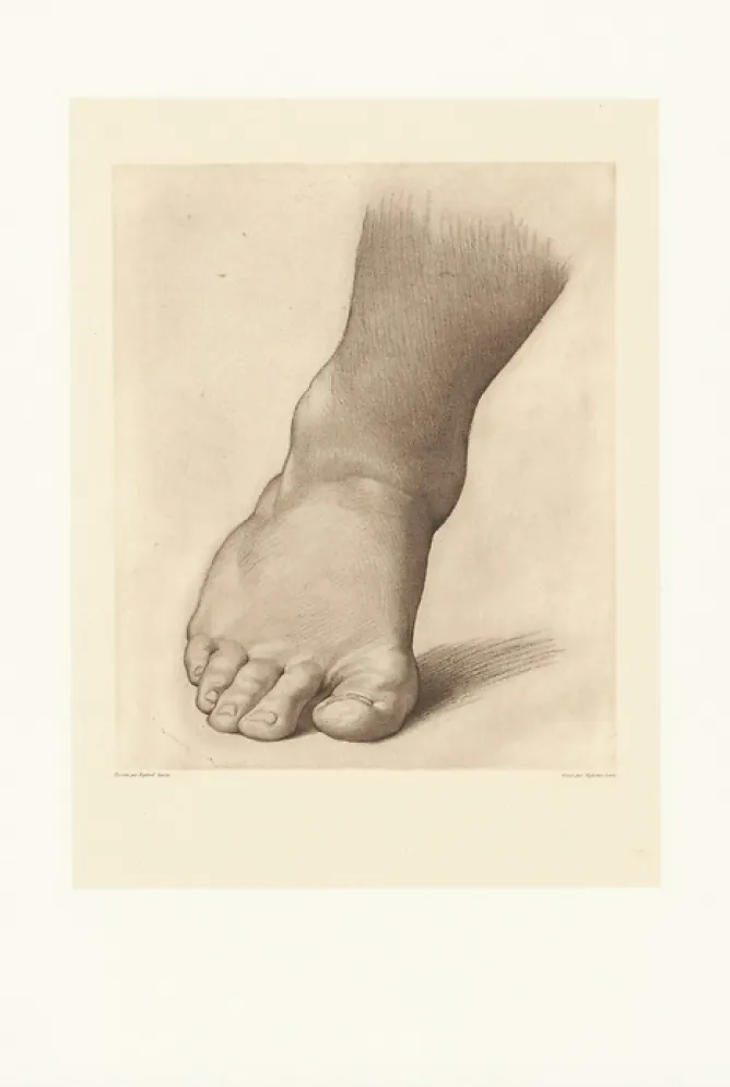 Dessins|Chefs D'Œuvre Des Musées<Boutiques de musées Estampe Etude pour le pied droit du Saint Jean Baptiste dans le désert - Raphaël