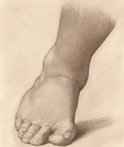 Dessins|Chefs D'Œuvre Des Musées<Boutiques de musées Estampe Etude pour le pied droit du Saint Jean Baptiste dans le désert - Raphaël