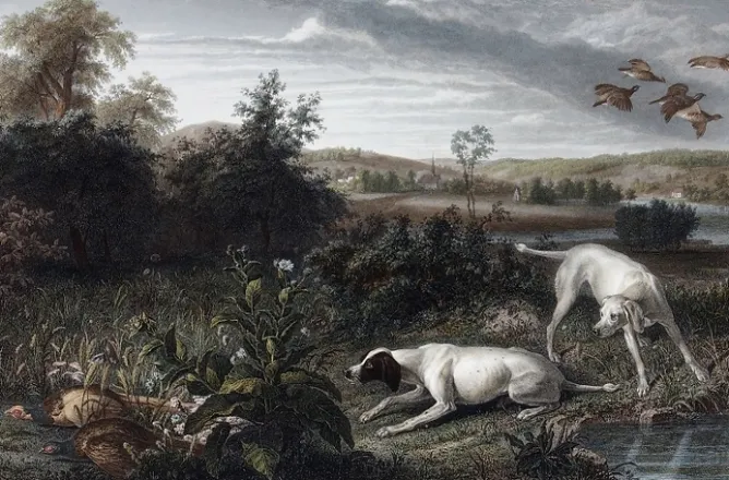 Boutiques de musées Estampe Folle et Mitte, chiennes de Louis XIV, à l'arrêt devant deux faisans - François Desportes Online