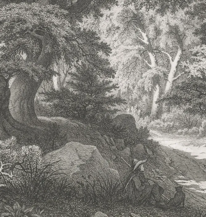 Nature, Fleurs Et Paysages|Chefs D'Œuvre Des Musées<Boutiques de musées Estampe Forêt de Fontainebleau : le Charlemagne et le Roland - Eugène Bléry