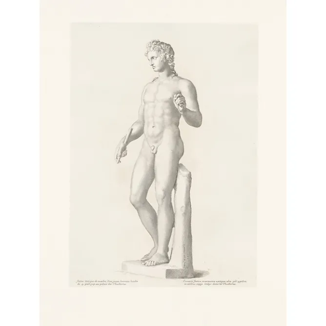 Boutiques de musées Estampe Jeune homme - Claude Mellan New