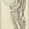 Art Moderne<Boutiques de musées Estampe La 8ème sphère, carte 48, Le Tarot de Mantegna - Cécile Reims