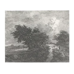 Boutiques de musées Estampe Le buisson - Van Ruisdael Best