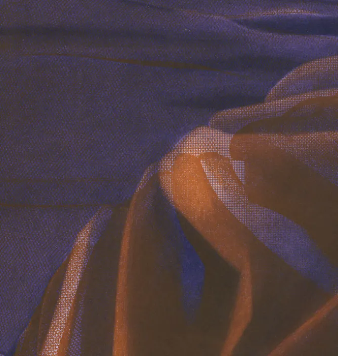 Créations Contemporaines<Boutiques de musées Estampe Le corsage - Rosanna Lefeuvre