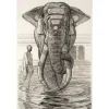 Boutiques de musées Estampe Paul Jouve - Éléphant du temple de Siva (Indes anglaises) Online