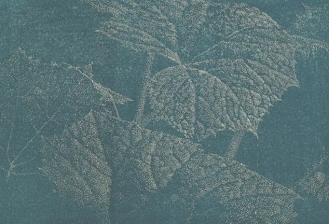 Créations Contemporaines<Boutiques de musées Estampe Pestwurz III (Pétasite III) - Franz Gertsch 2002