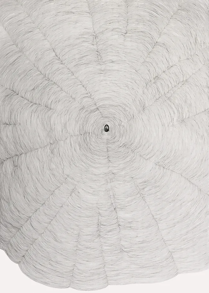 Boutiques de musées Estampe Propagazione - Giuseppe Penone 2009