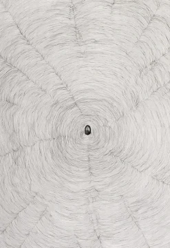 Boutiques de musées Estampe Propagazione - Giuseppe Penone 2009