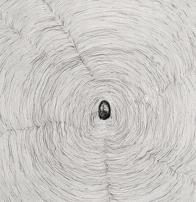 Boutiques de musées Estampe Propagazione - Giuseppe Penone 2009