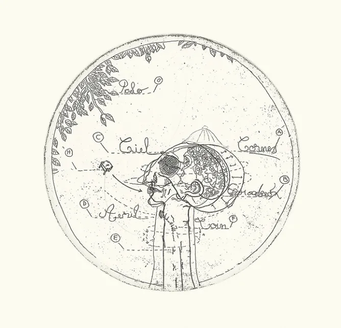 Boutiques de musées Estampe Résonance - Philippe Favier 2000 Outlet