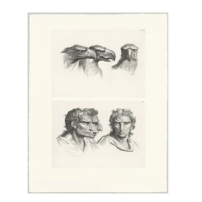 Dessins<Boutiques de musées Estampe Trois têtes d'aigle et trois têtes d'hommes en relation avec l'aigle