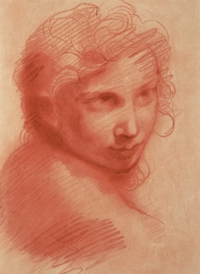 Dessins<Boutiques de musées Estampe Tête de jeune homme - Michelangelo Anselmi