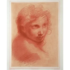 Dessins<Boutiques de musées Estampe Tête de jeune homme - Michelangelo Anselmi
