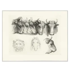 Boutiques de musées Estampe Têtes de bœufs, de lion et de cheval Clearance