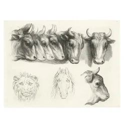 Boutiques de musées Estampe Têtes de bœufs, de lion et de cheval Clearance