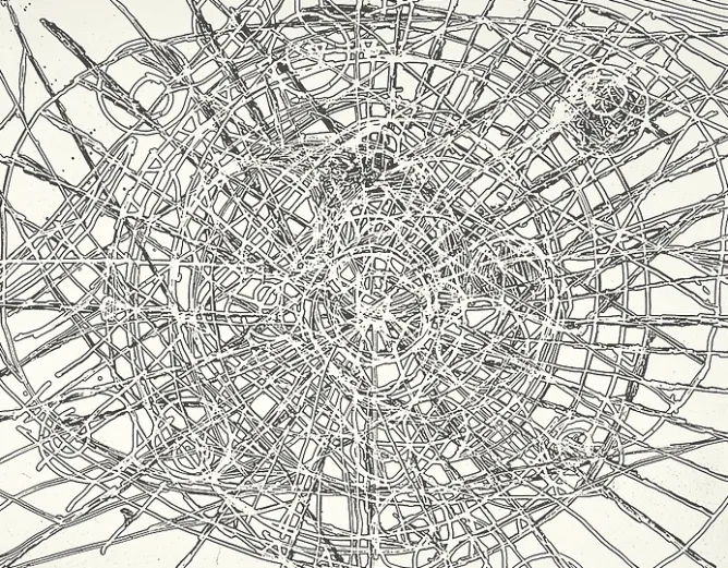 Boutiques de musées Estampe Untitled Louvre - Terry Winters 2001 Best