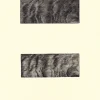 Créations Contemporaines<Boutiques de musées Estampe Vagues (wellen) - Markus Raetz 1995