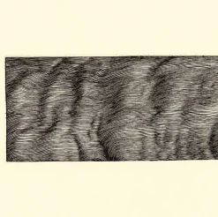 Créations Contemporaines<Boutiques de musées Estampe Vagues (wellen) - Markus Raetz 1995