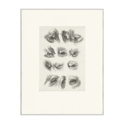 Boutiques de musées Estampe Yeux de loup, de renard et de pourceau Outlet