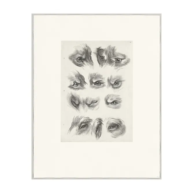 Boutiques de musées Estampe Yeux de loup, de renard et de pourceau Outlet