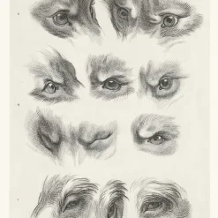 Boutiques de musées Estampe Yeux de loup, de renard et de pourceau Outlet