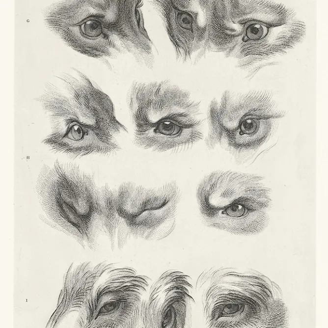 Boutiques de musées Estampe Yeux de loup, de renard et de pourceau Outlet
