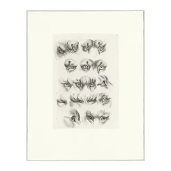 Nature, Fleurs Et Paysages<Boutiques de musées Estampe Yeux de tigre, de loup-cervier et de chat