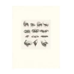 Dessins<Boutiques de musées Estampe Yeux humains, yeux de singes et de chameaux
