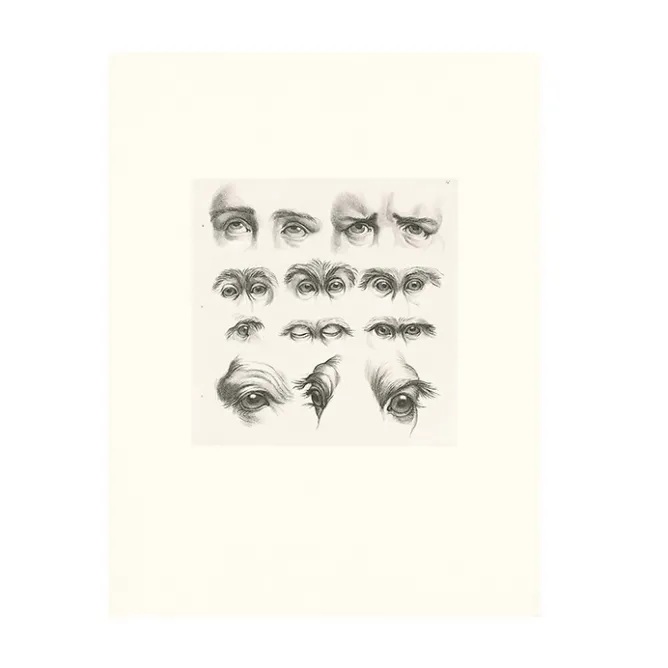 Dessins<Boutiques de musées Estampe Yeux humains, yeux de singes et de chameaux
