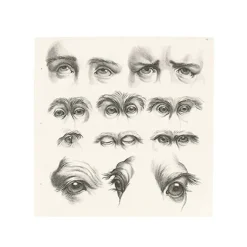 Dessins<Boutiques de musées Estampe Yeux humains, yeux de singes et de chameaux