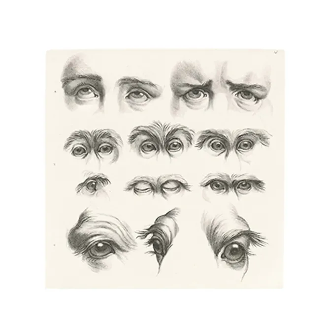 Dessins<Boutiques de musées Estampe Yeux humains, yeux de singes et de chameaux